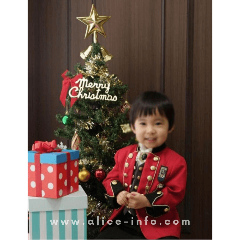 スタジオアリスで撮影した2歳男の子のクリスマスフォト